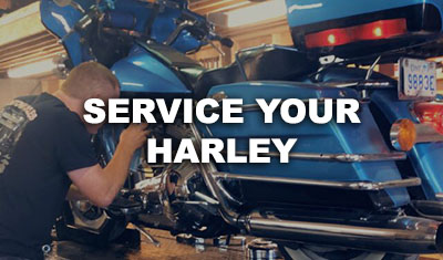 Service your Harley-Davidson motorcycle at Hogtown Cycles in Lucan, Ontario